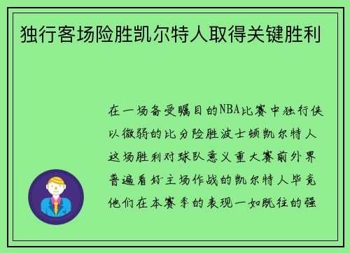 独行客场险胜凯尔特人取得关键胜利